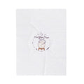 Velveteen Plush Blanket