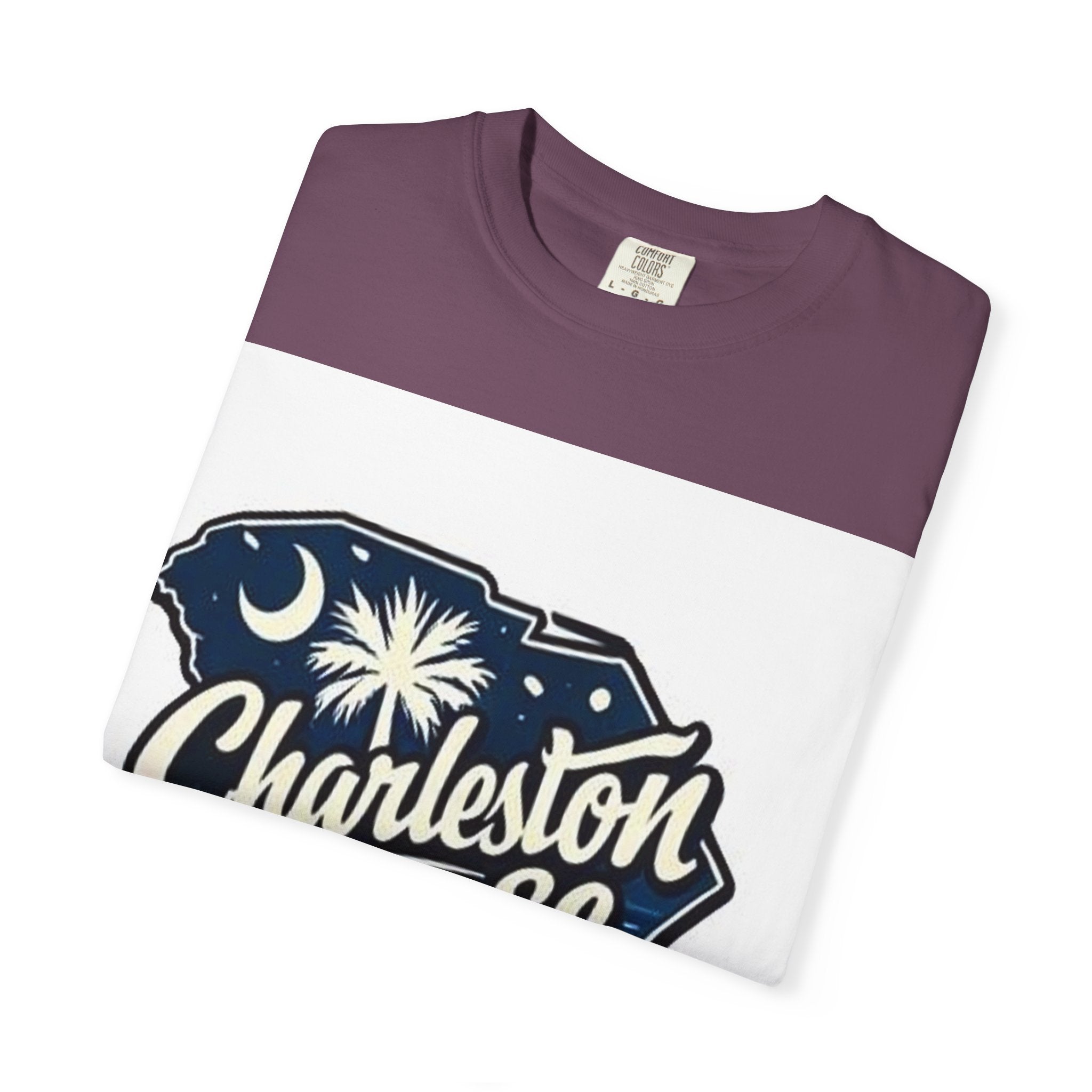 Charleston SC State Outline Logo