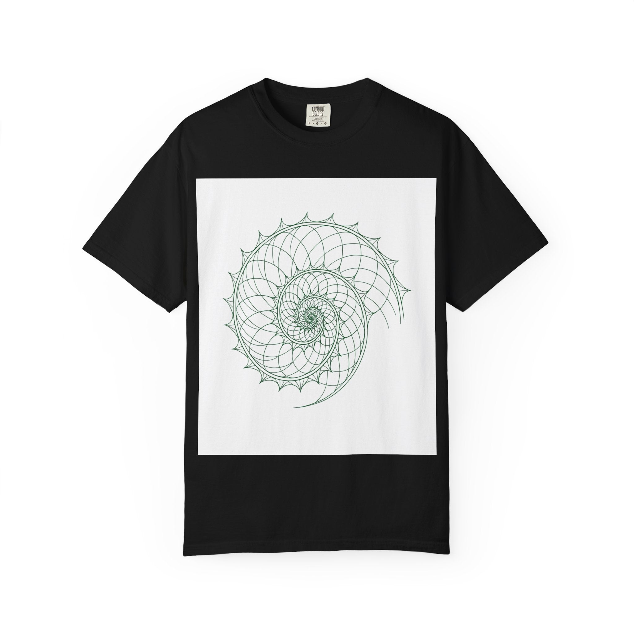 Spiral Shell Design